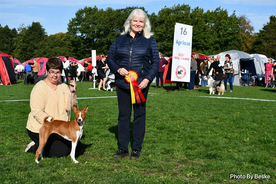 HANDLER: Rikke Nielsen
FOTO. Line Beske