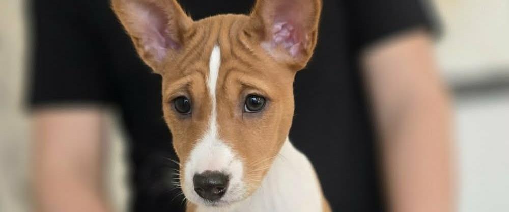 ¤https://www.facebook.com/pontus.rigestam