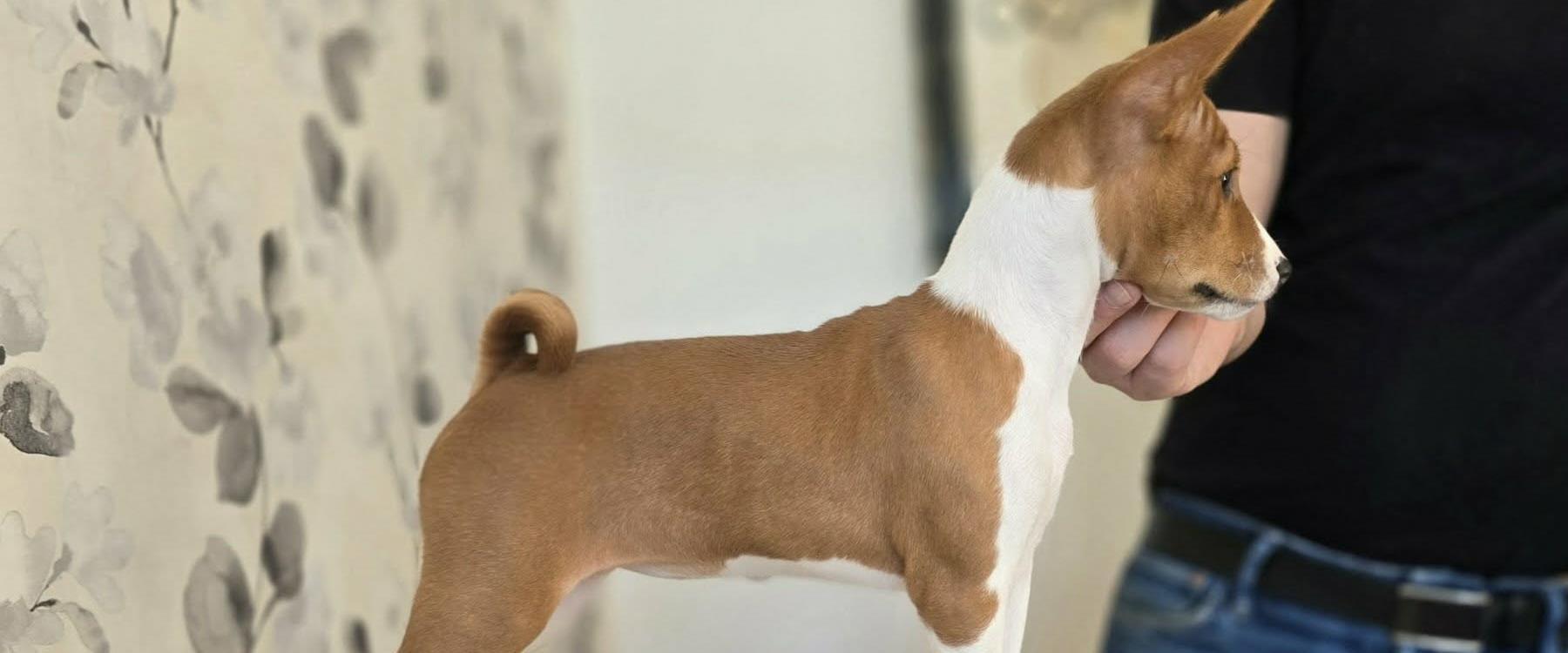 ¤Miakoda Pretty Fly