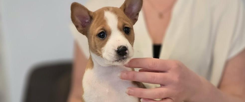 ¤Miakoda's Looking Out For No One - Bitch