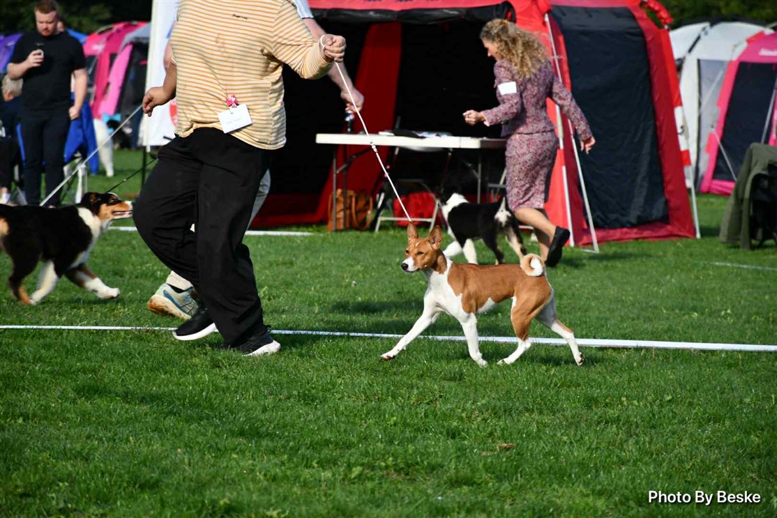 HANDLER: Rikke Nielsen
FOTO Line Beske